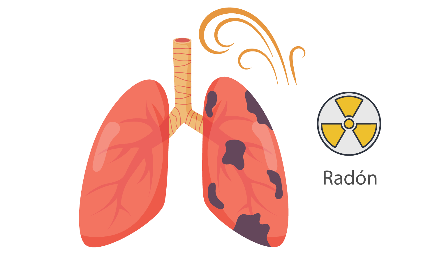 Efectos del radón en la salud