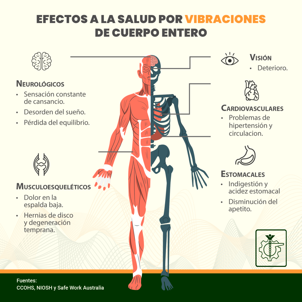 Efectos a la salud por la exposición a vibraciones de cuerpo entero