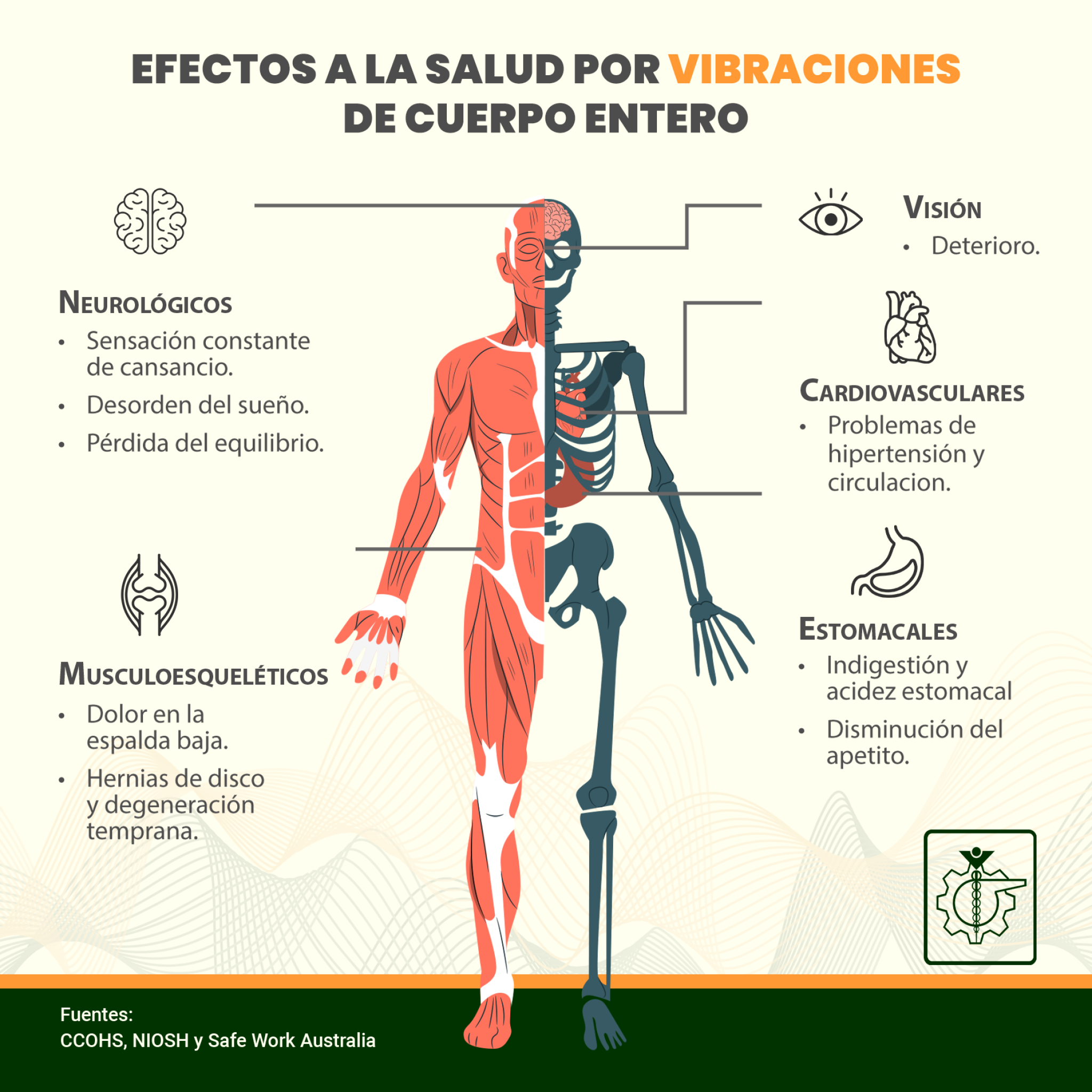 Efectos a la salud por Vibraciones de Cuerpo Entero [infografía ...