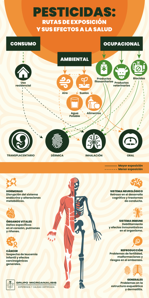 Pesticidas, agentes químicos, rutas o caminos de exposición