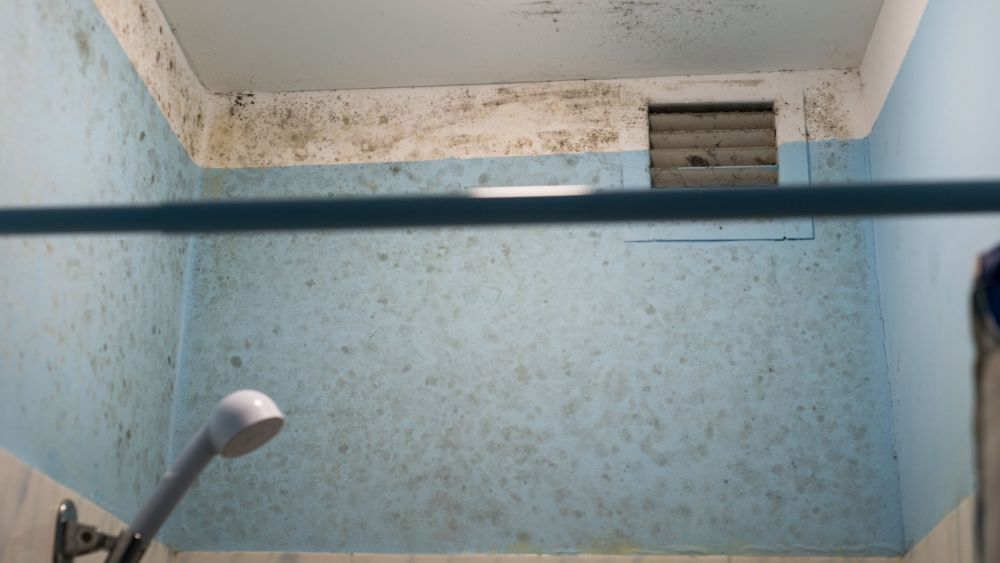 Bioaerosoles y microorganismos en baños