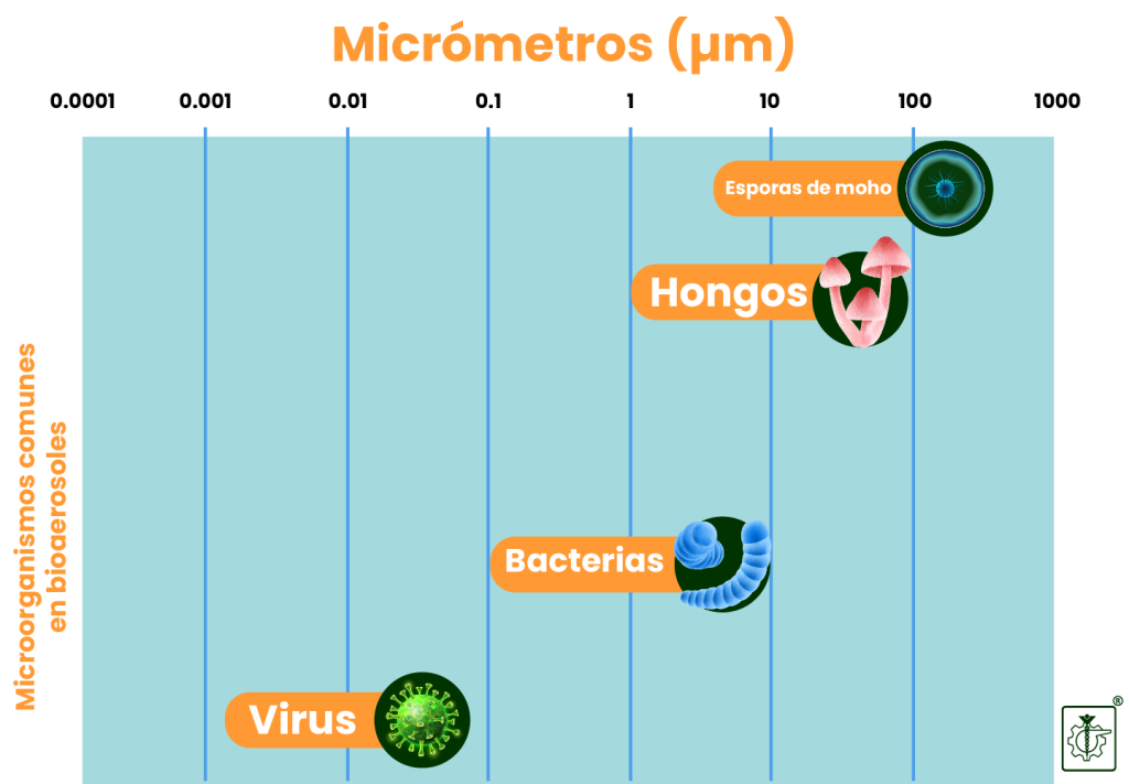 Rangos de medidas de bioaerosoles: virus, bacterias, hongos, microorganismos en el aire