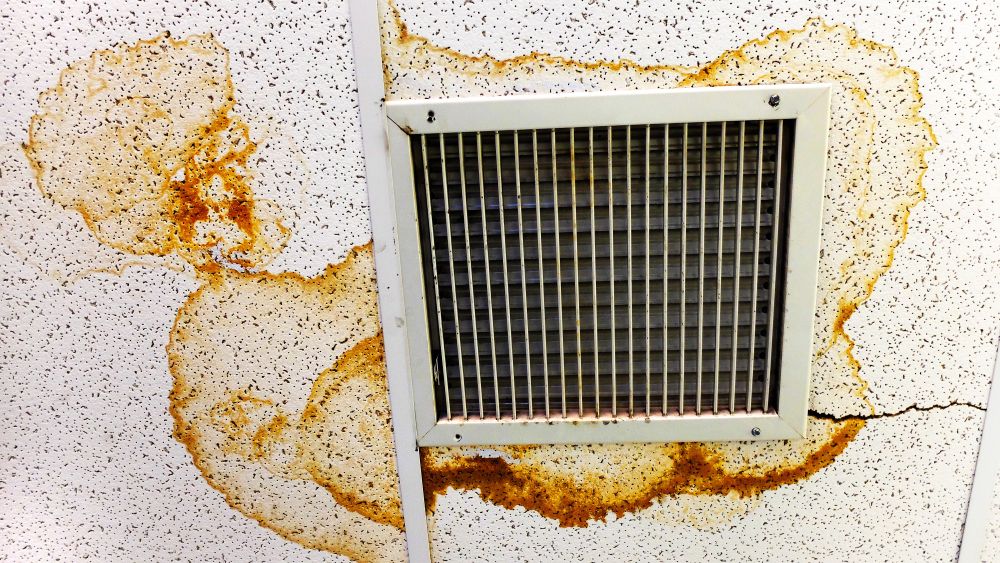 Sistemas y ductos de ventilación con microorganismos y bioaerosoles