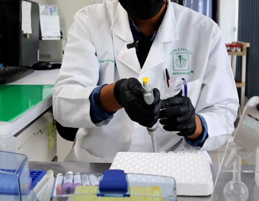 Home - Grupo Microanalisis